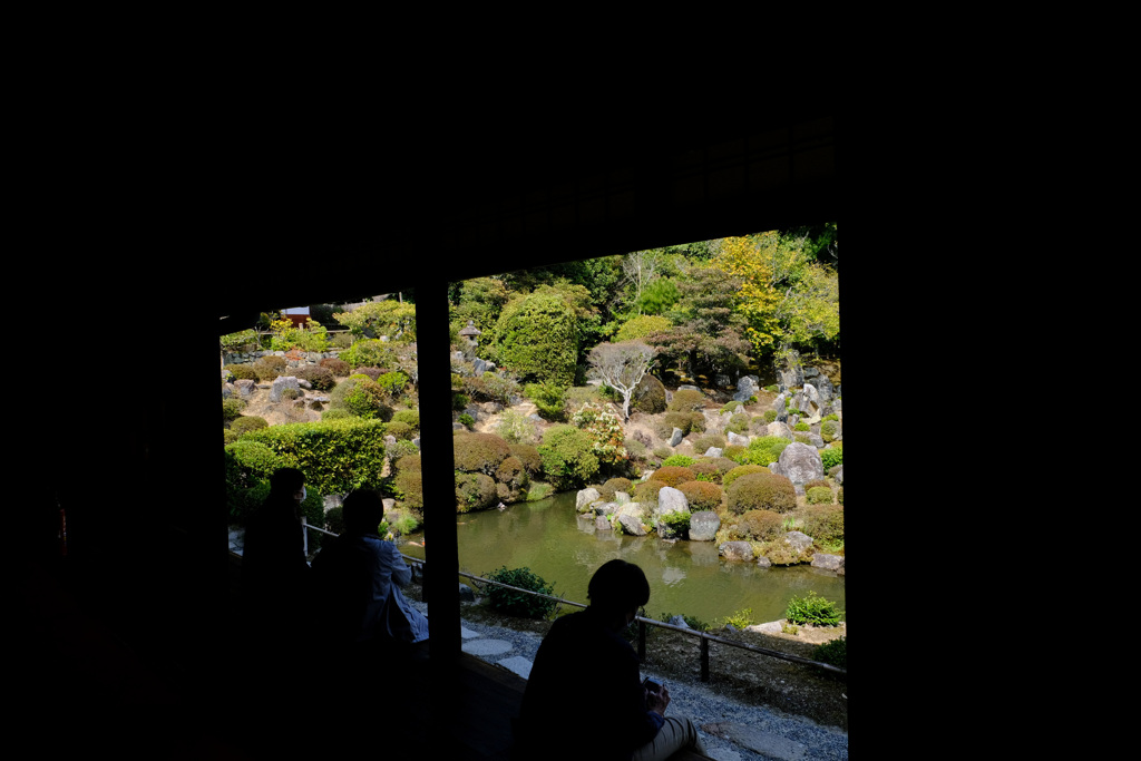 座って庭観賞
