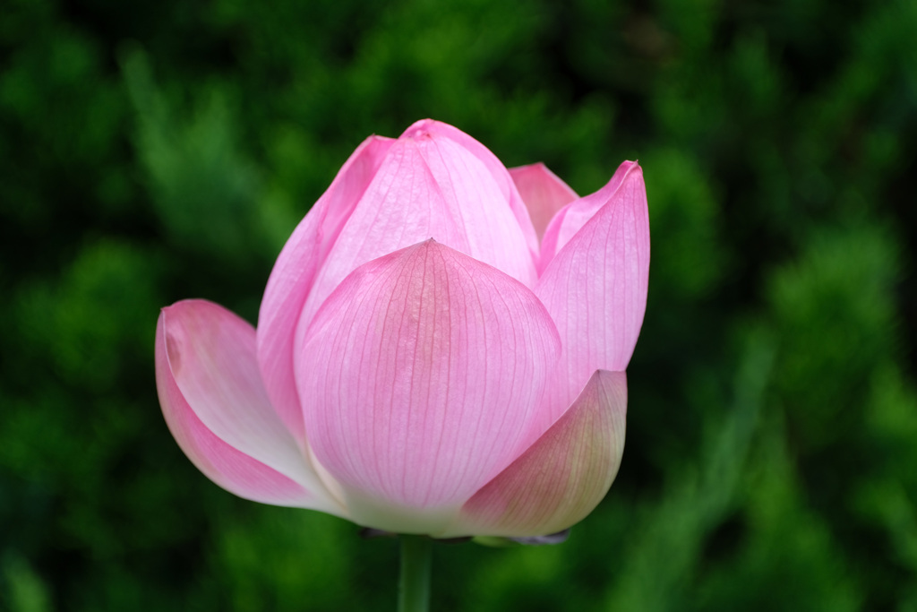 二日目９時４１分