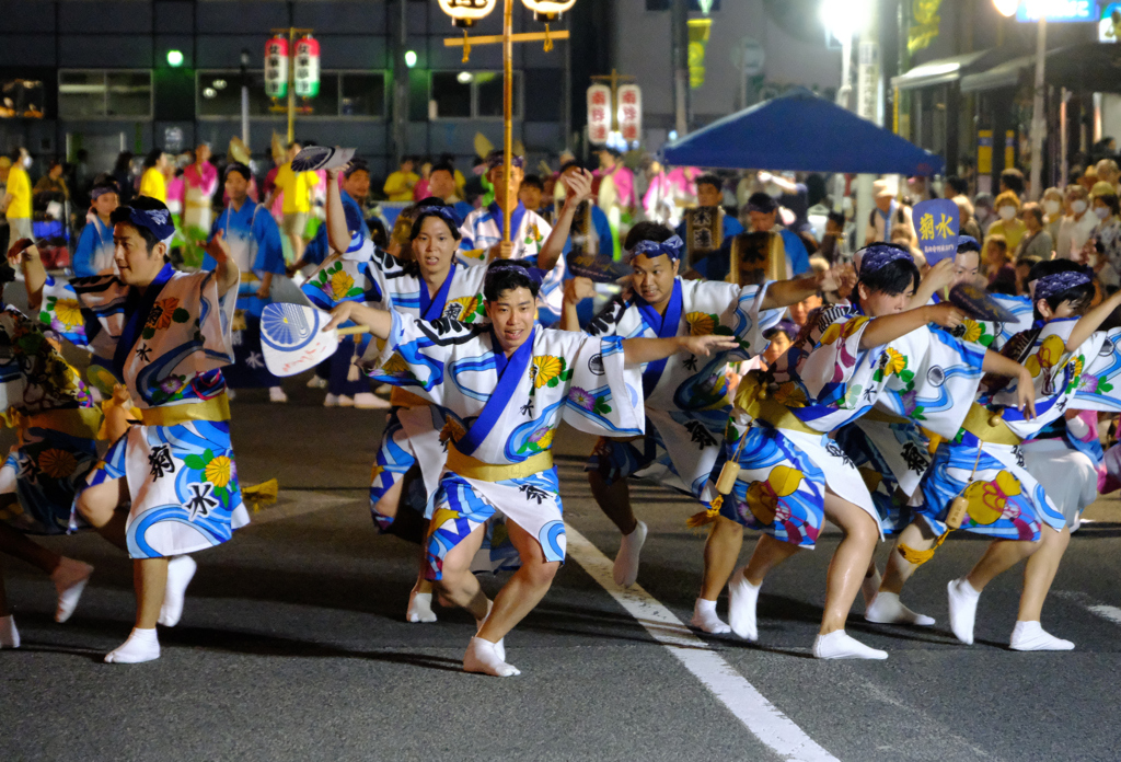 阿波踊り2