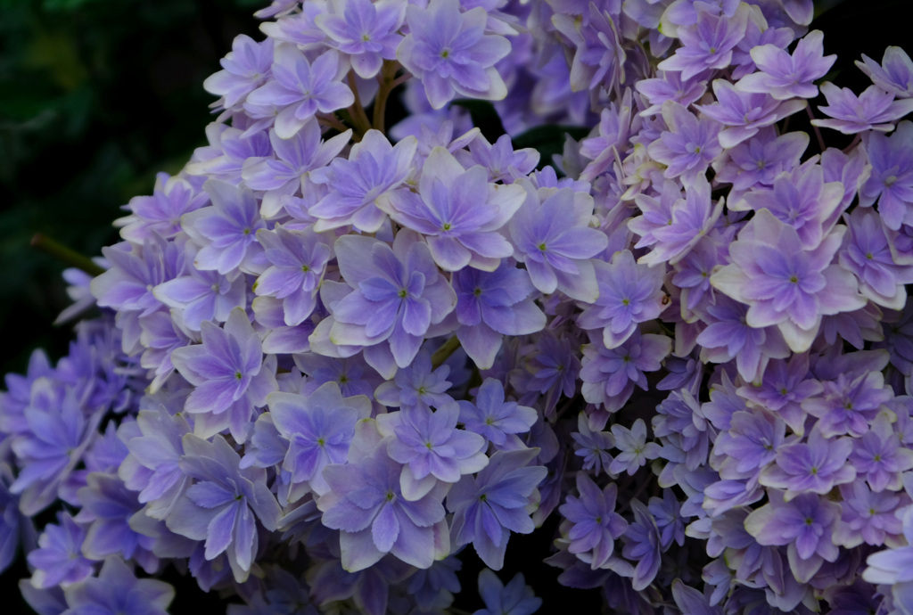 グラデーションぽい