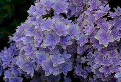 グラデーションぽい