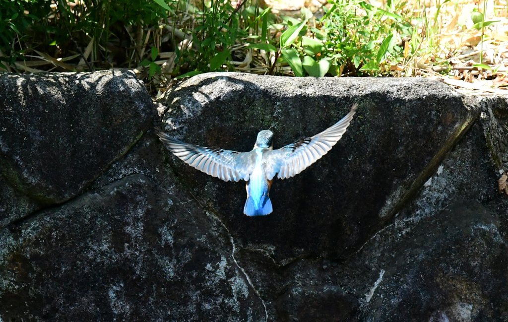 さらに上昇