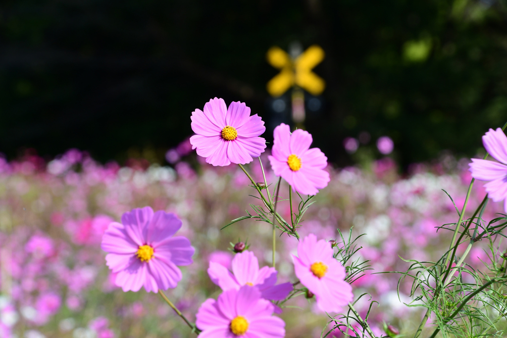 警報機はまだあった