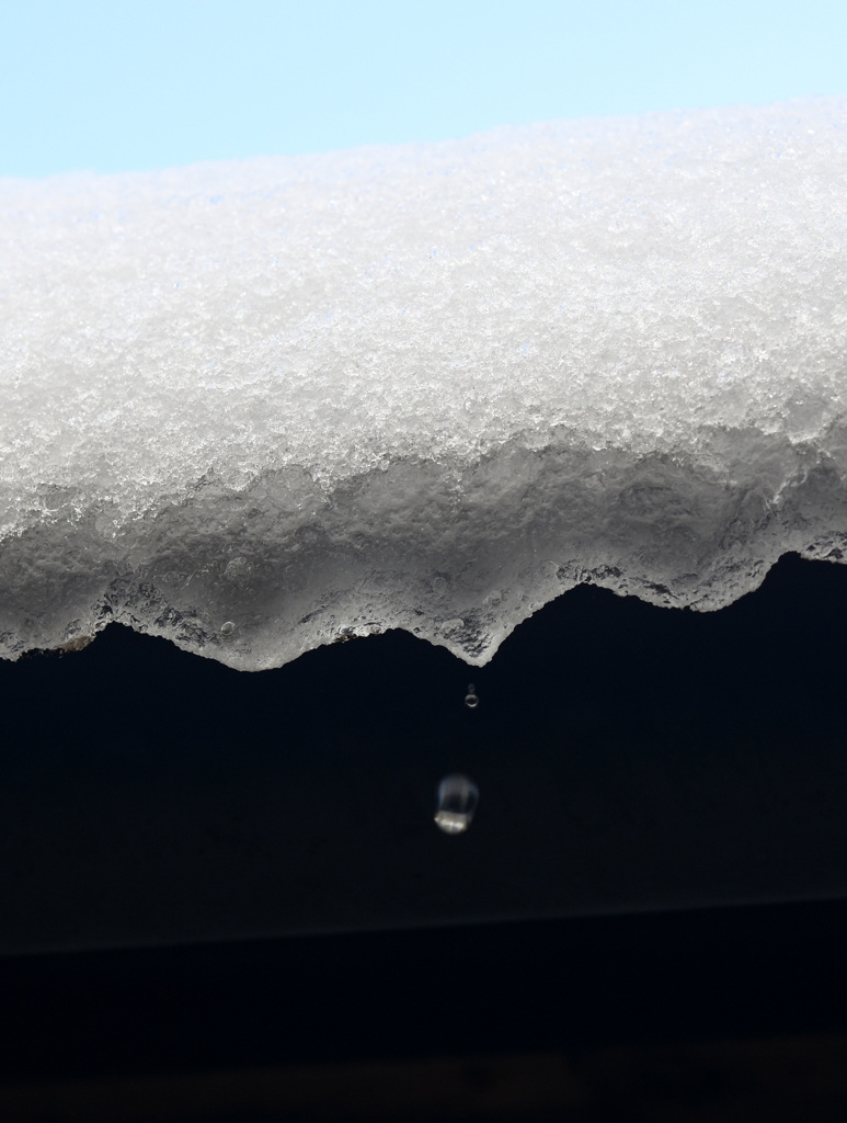 雪雫 １