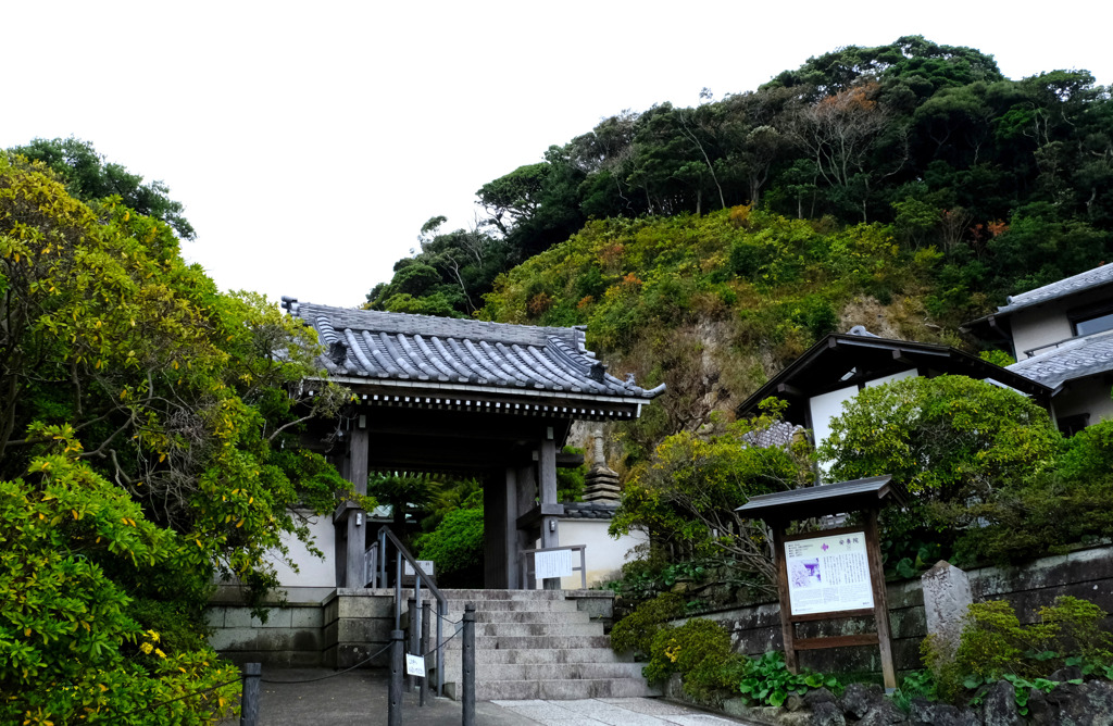 安養院１