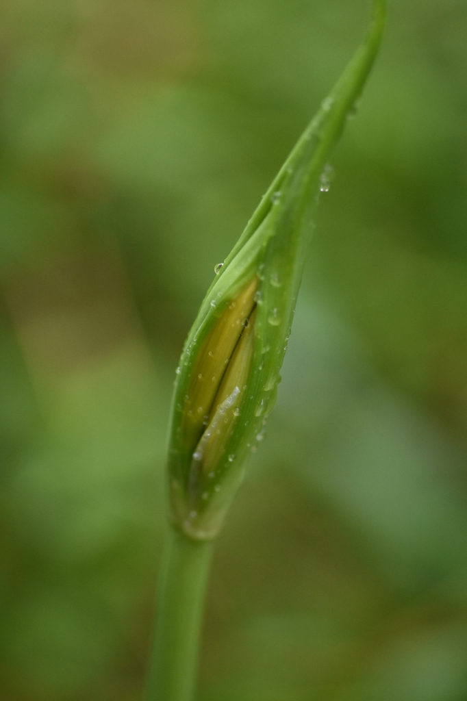 10月９日雨