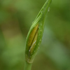 10月９日雨