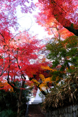 鐘楼を囲む