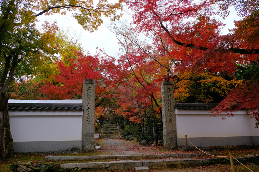 浄住寺山門