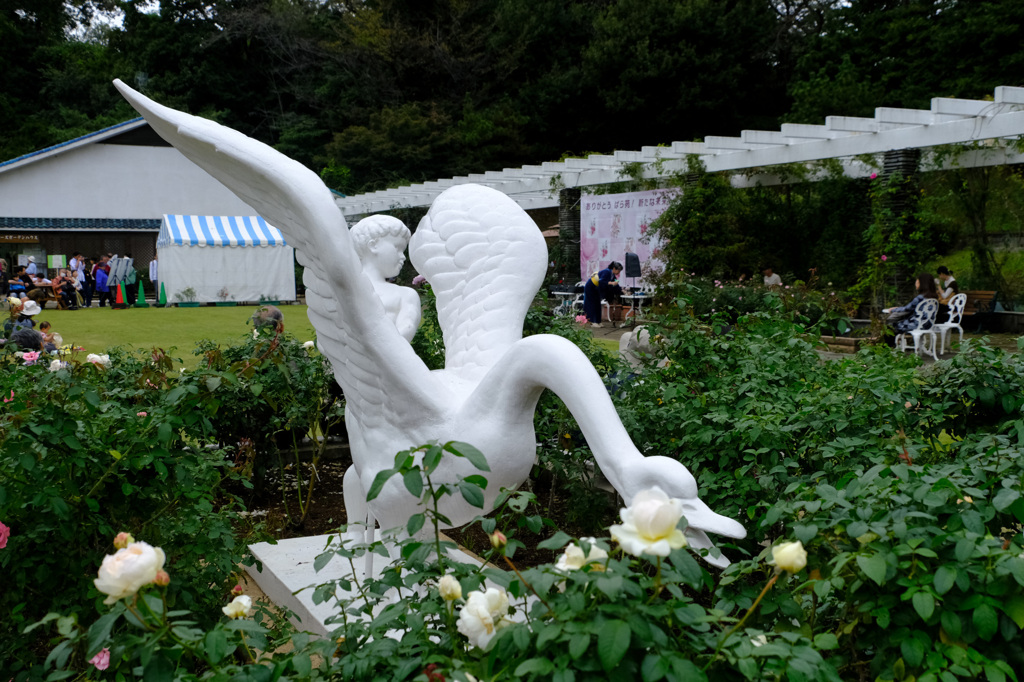 苑内風景(白鳥）