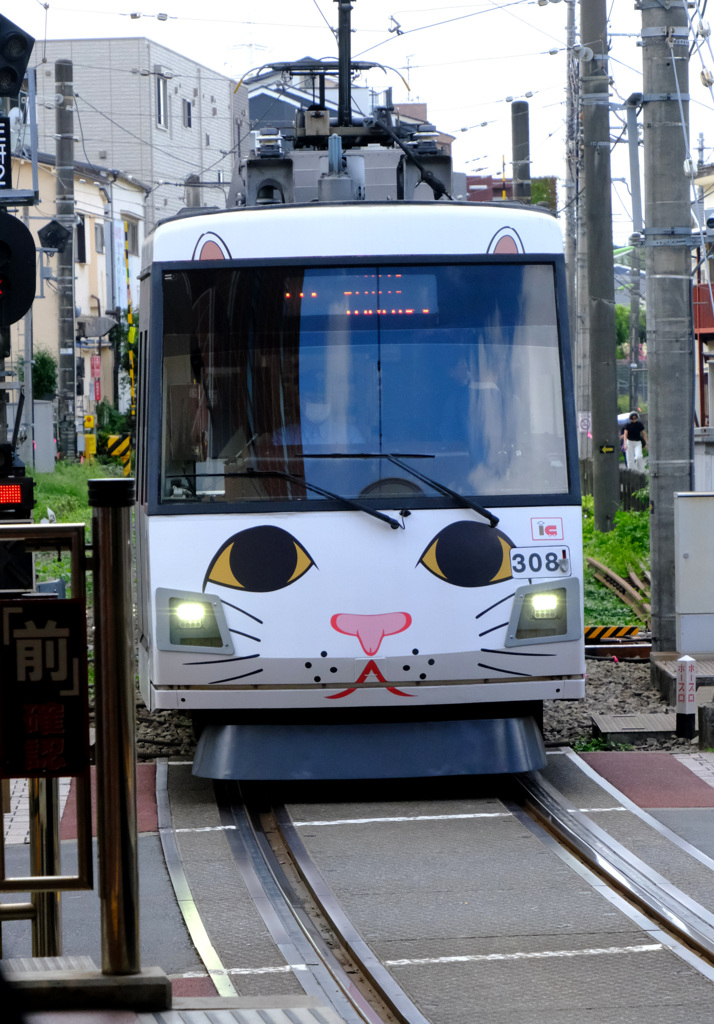 さらに近づいて