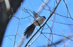 飛鳥時代の衣装みたい