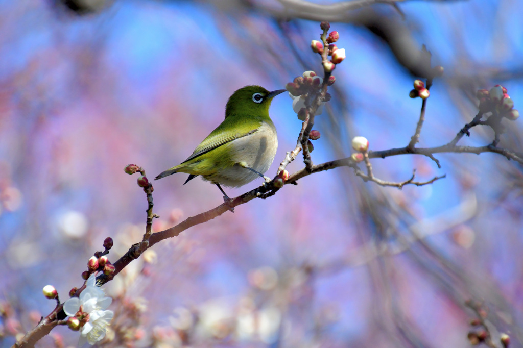 もうちょっとかな