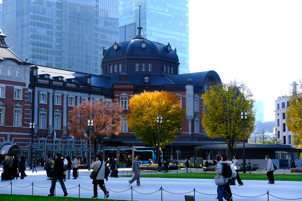 東京駅と紅葉