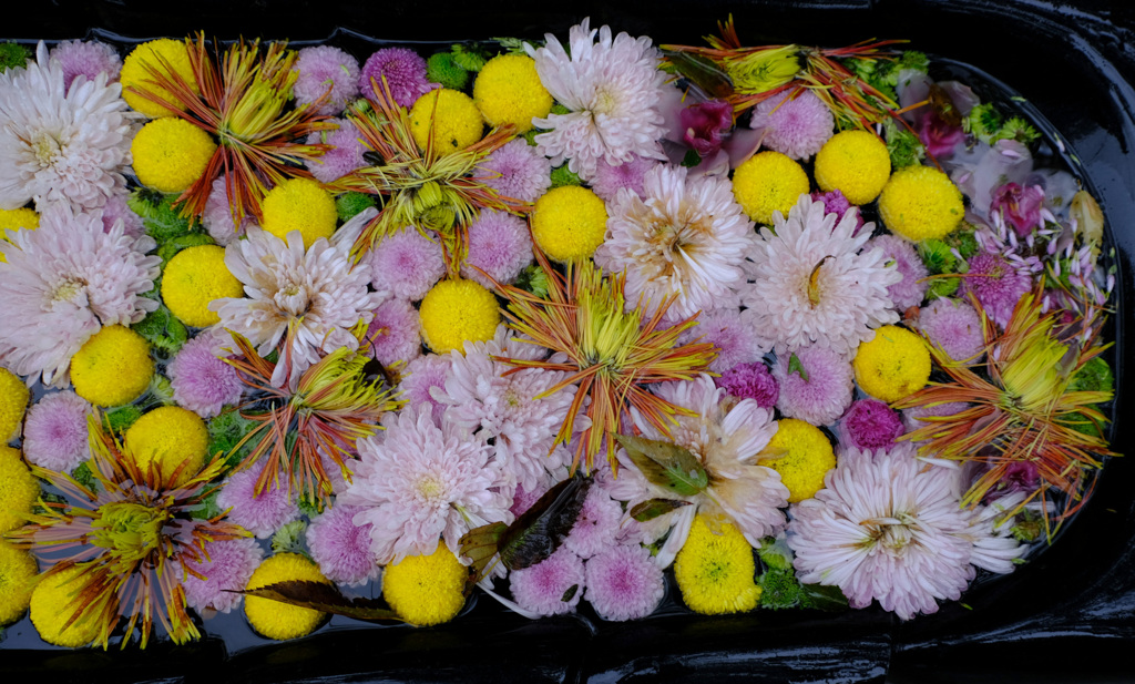 花手水２