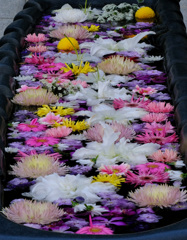 花手水