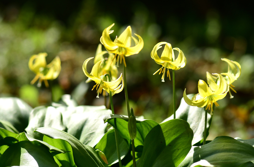 4月９日