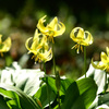 4月９日