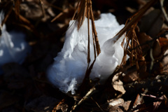 綿あめか水あめか