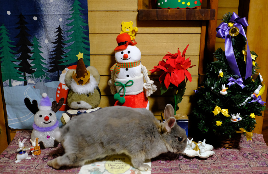 でもあたしは・・・