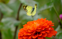 好みでなかったようで 好みでなかったようで