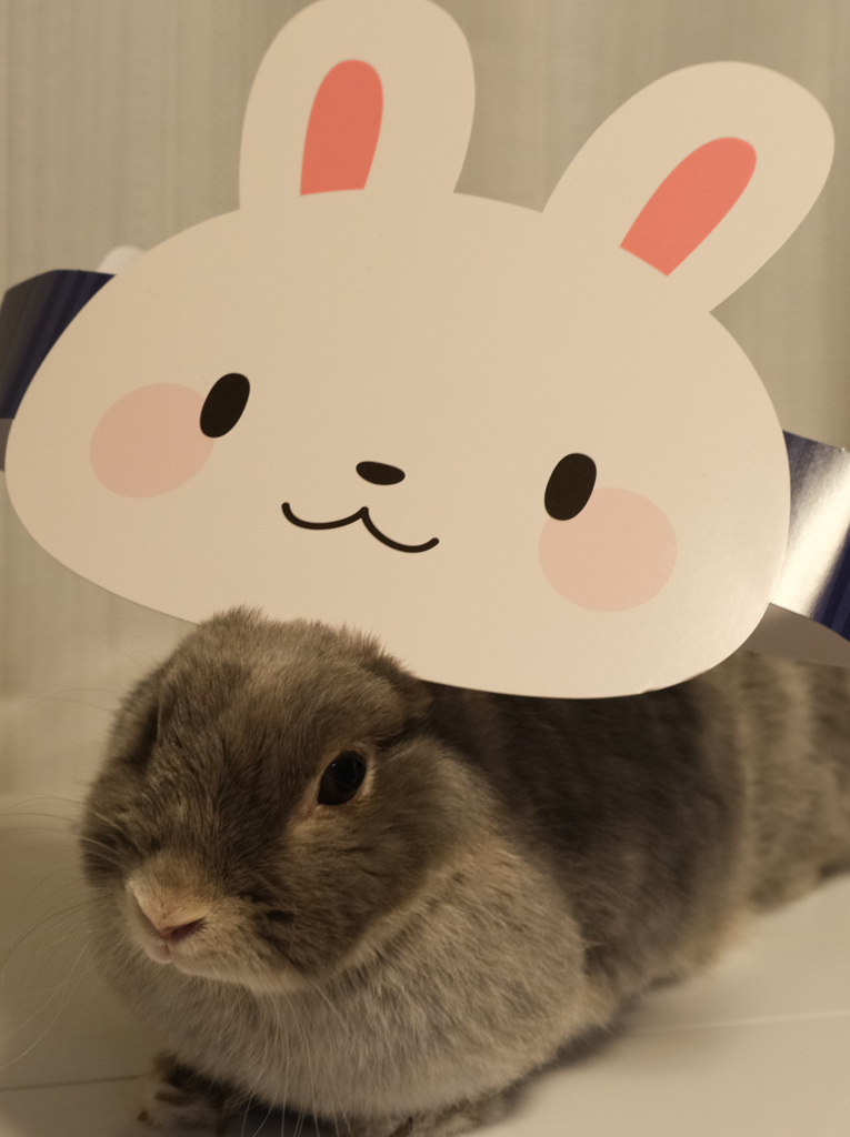 お面ポロリ１