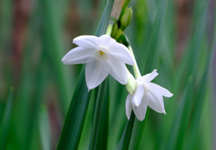 11月29日