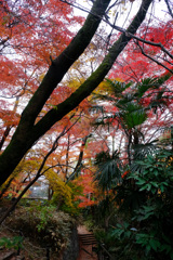 鐘楼脇から見下ろす