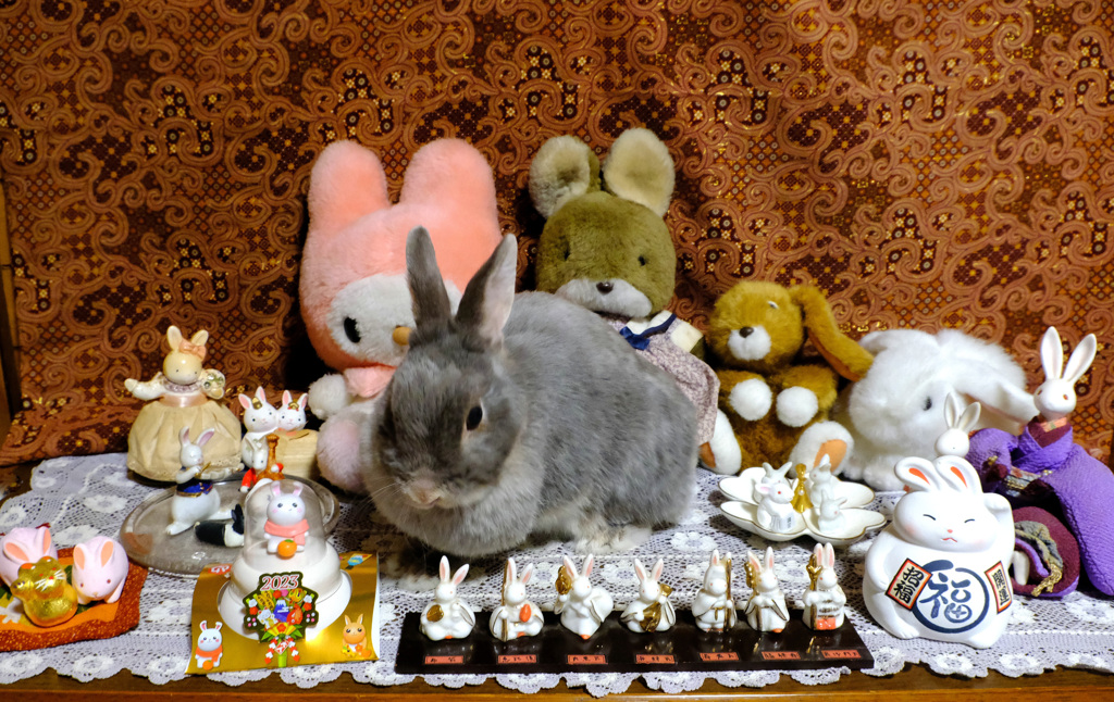 ことしもよろしく