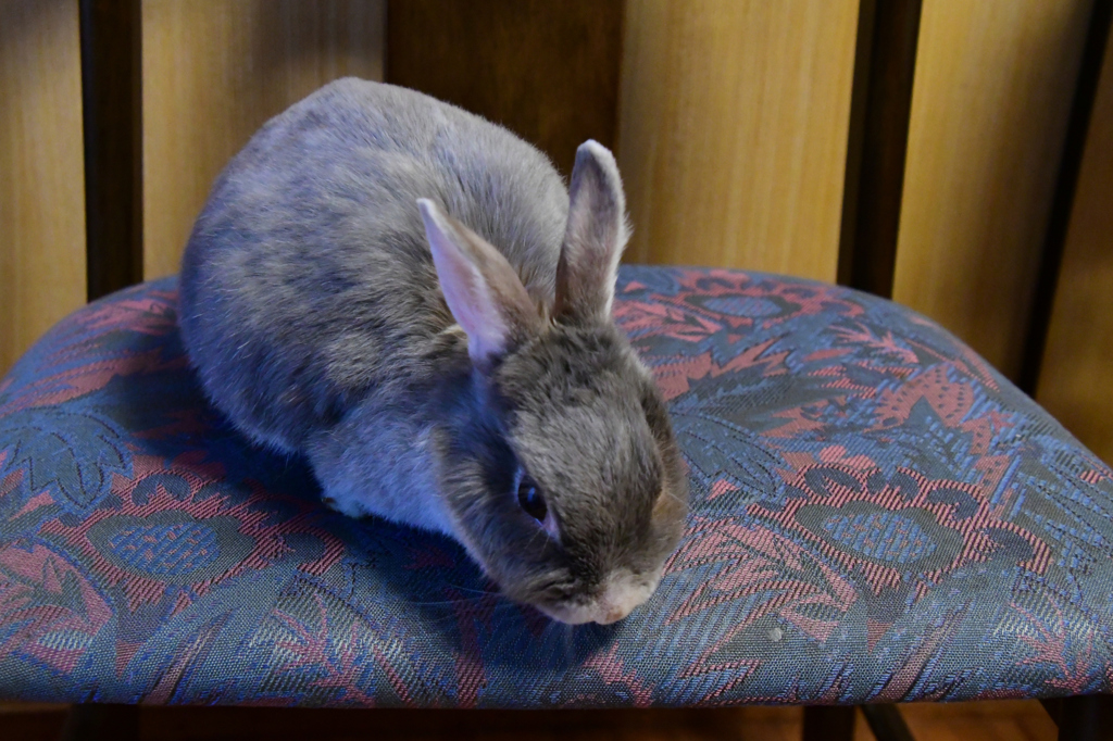 椅子の上で (2)