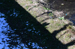 55ミリで大幅にトリミング