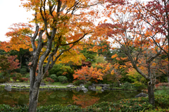 池をかこんで