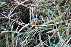 もうすぐ吐くよ