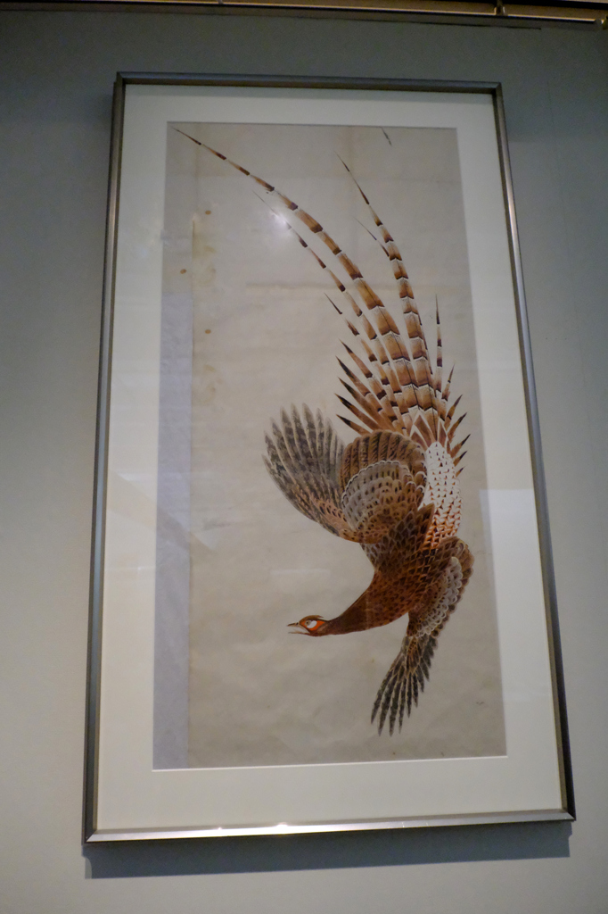 ヤマドリ雄「春律」下絵（1928年ごろ）