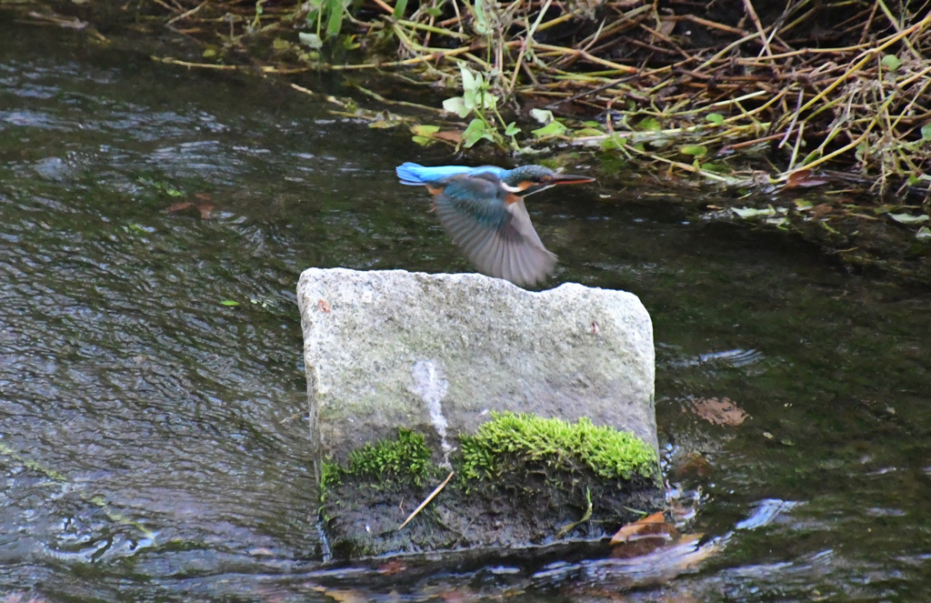 いきなり飛んだ