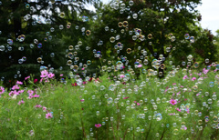 木がバックだと
