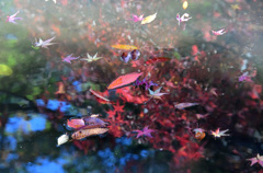 映ると浮かぶと