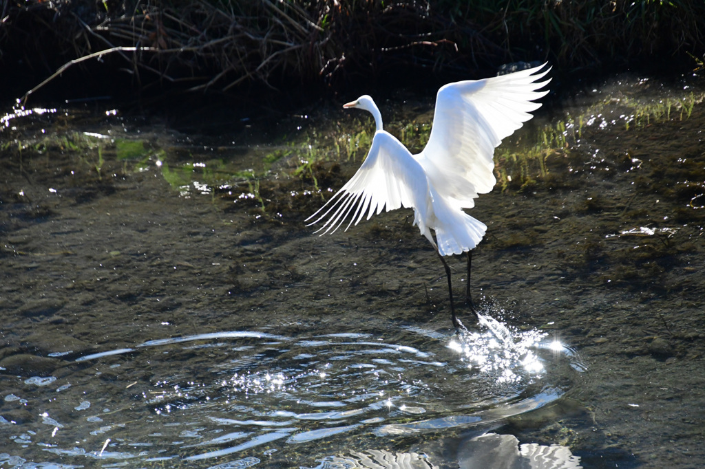 少し飛んでみる