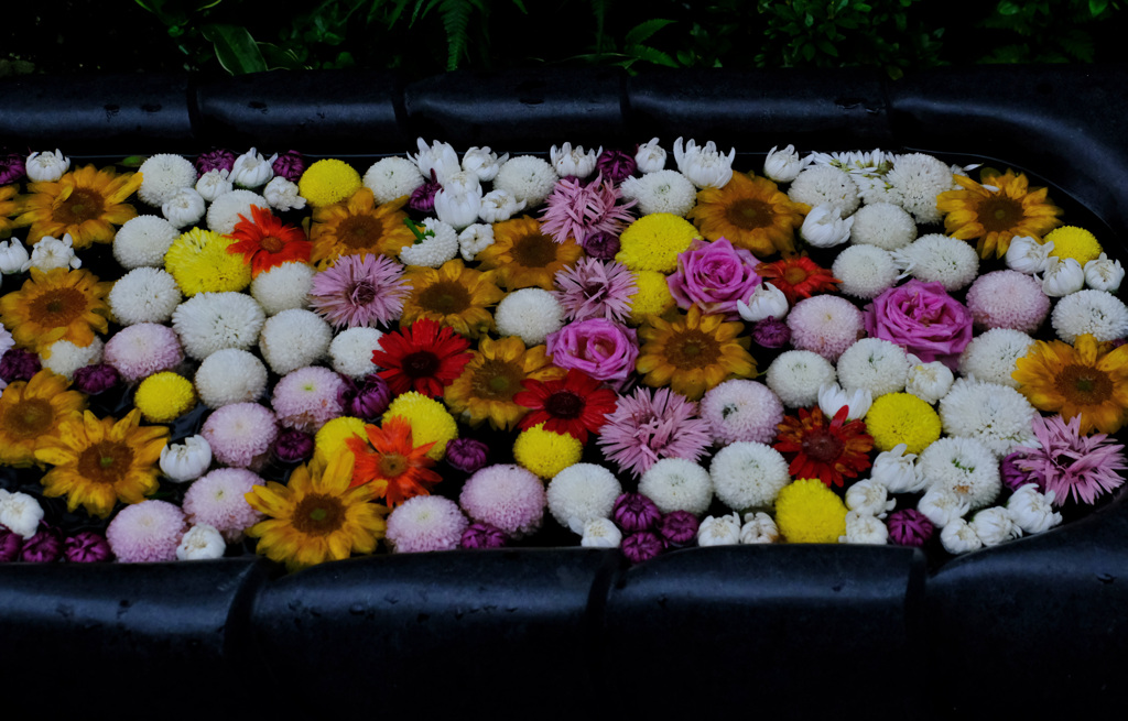 お寺の花手水