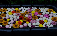 お寺の花手水