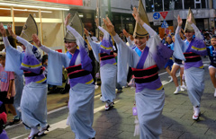 湘南なぎさ連  女踊り