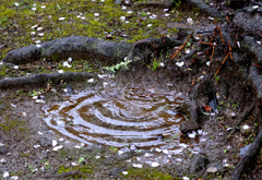 雨が描く