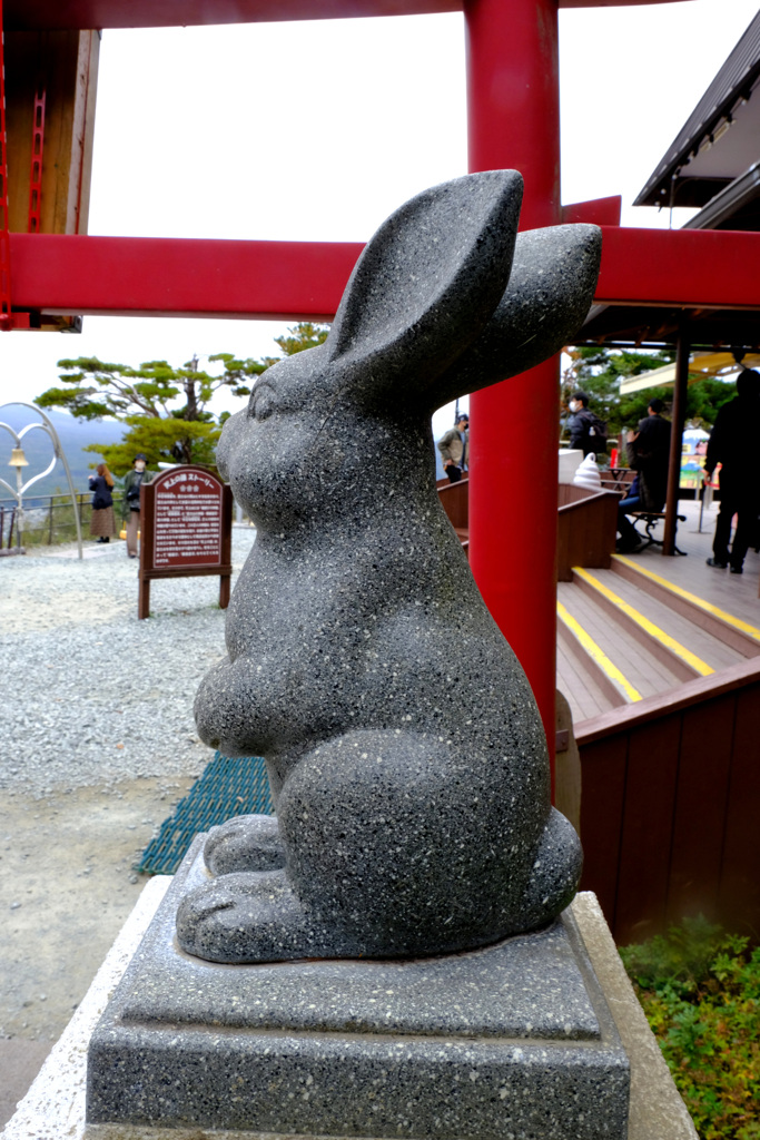 うさぎ神社にお参り