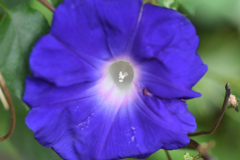 10月29日