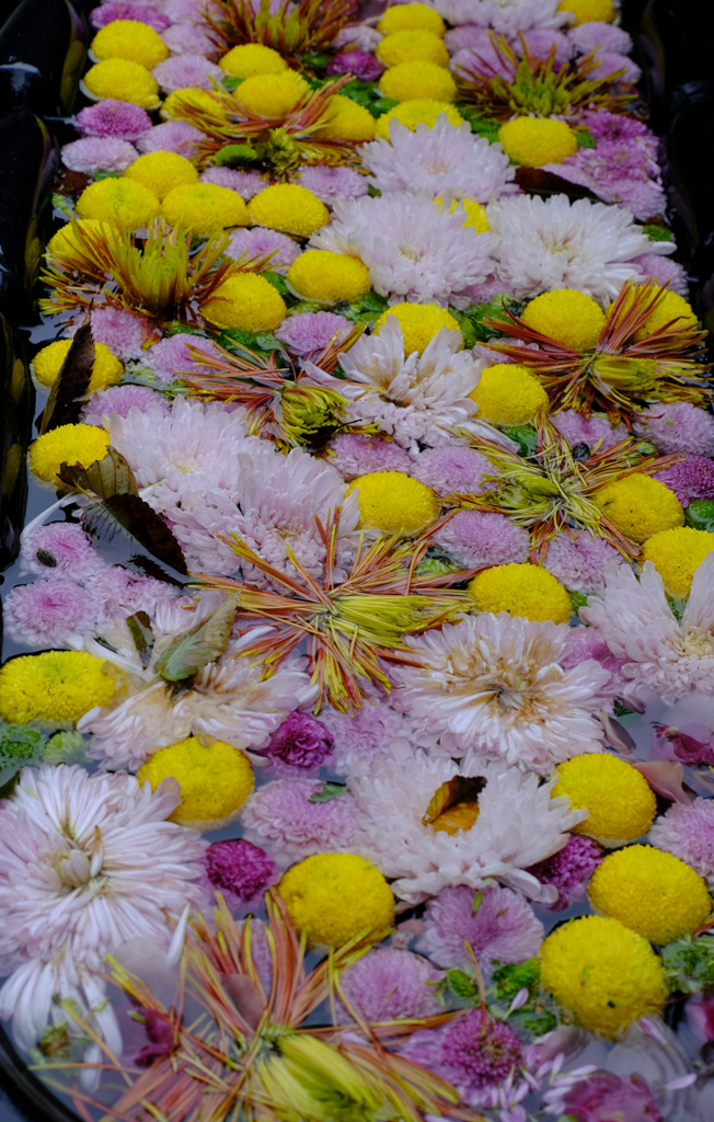 花手水１