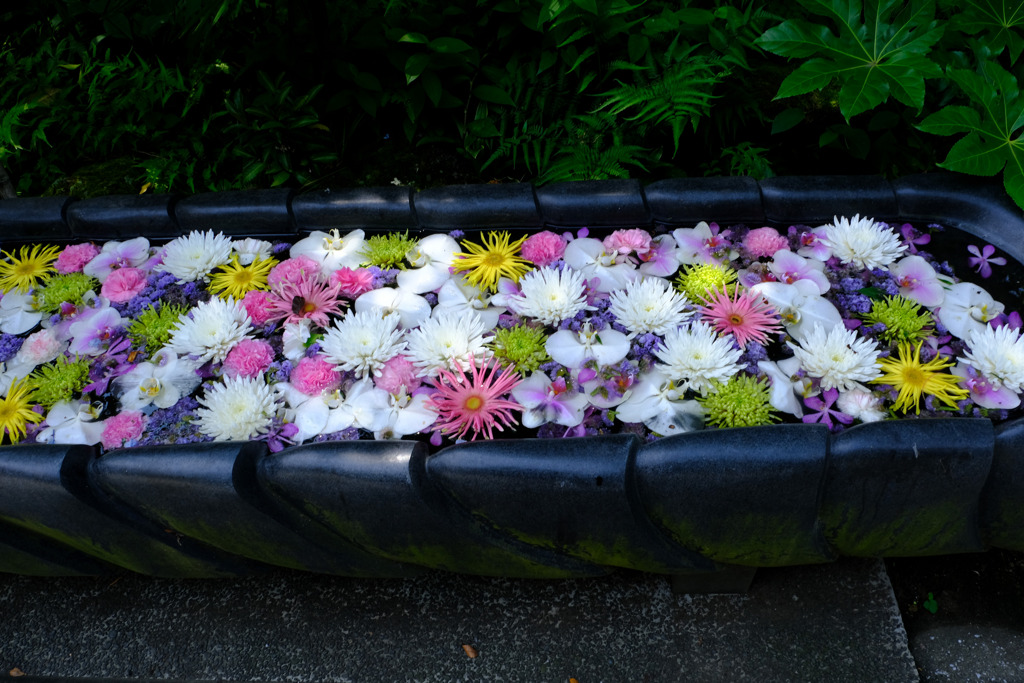 お寺の花手水