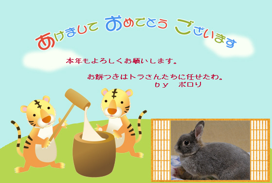 ポロリ年賀