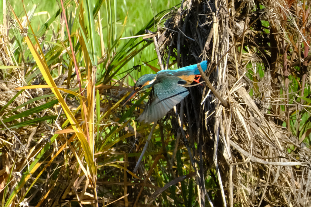 さあ、行くわよ