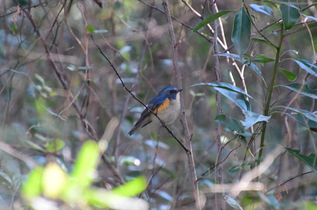 また会いたいな