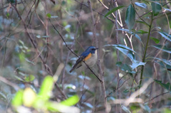 また会いたいな